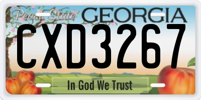GA license plate CXD3267