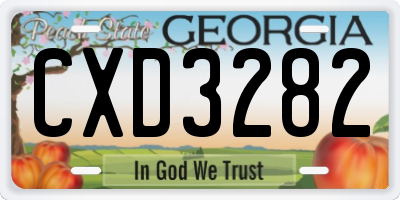 GA license plate CXD3282