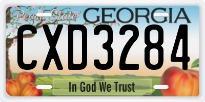 GA license plate CXD3284