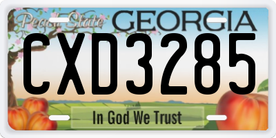 GA license plate CXD3285