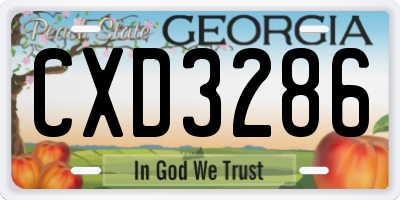 GA license plate CXD3286