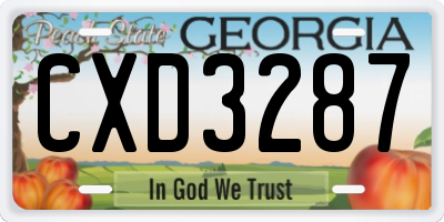 GA license plate CXD3287