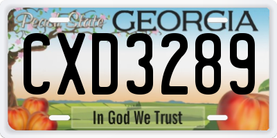 GA license plate CXD3289