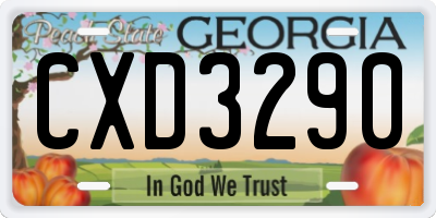 GA license plate CXD3290