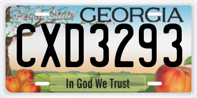 GA license plate CXD3293