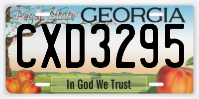 GA license plate CXD3295