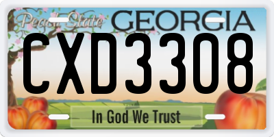 GA license plate CXD3308