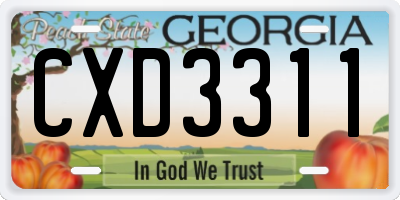 GA license plate CXD3311