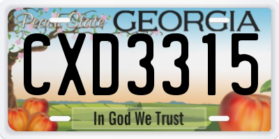 GA license plate CXD3315