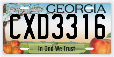 GA license plate CXD3316