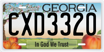 GA license plate CXD3320
