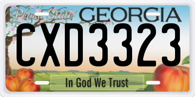 GA license plate CXD3323