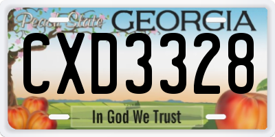GA license plate CXD3328