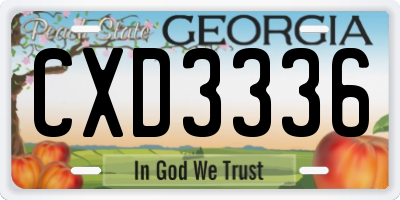GA license plate CXD3336