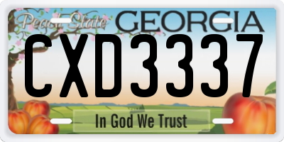 GA license plate CXD3337