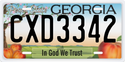 GA license plate CXD3342