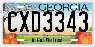 GA license plate CXD3343