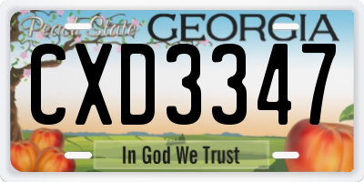 GA license plate CXD3347