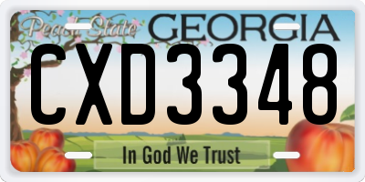 GA license plate CXD3348