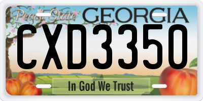GA license plate CXD3350