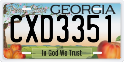 GA license plate CXD3351