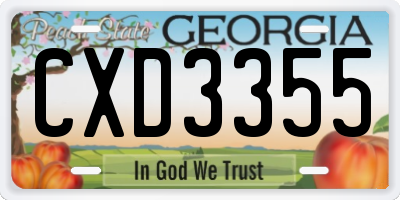 GA license plate CXD3355