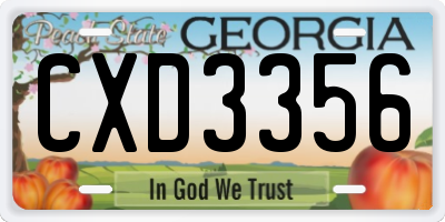 GA license plate CXD3356
