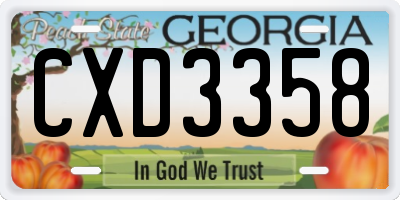 GA license plate CXD3358