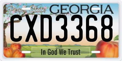 GA license plate CXD3368
