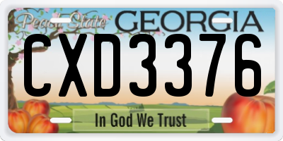 GA license plate CXD3376