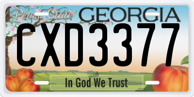 GA license plate CXD3377