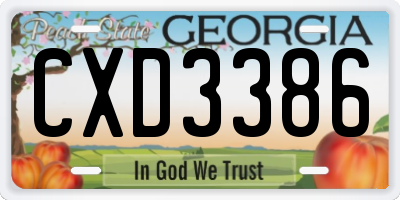 GA license plate CXD3386