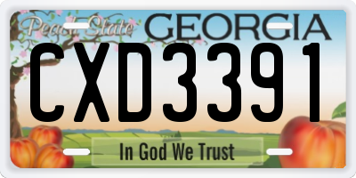 GA license plate CXD3391