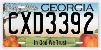 GA license plate CXD3392