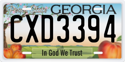GA license plate CXD3394