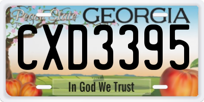 GA license plate CXD3395