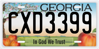 GA license plate CXD3399