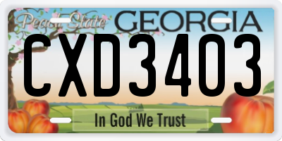 GA license plate CXD3403