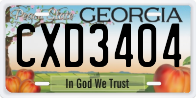 GA license plate CXD3404
