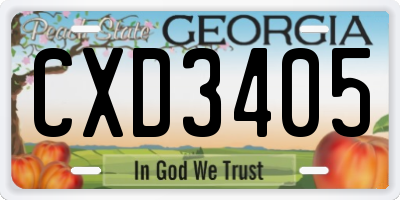 GA license plate CXD3405
