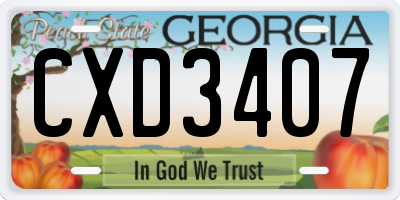GA license plate CXD3407