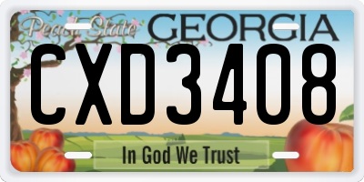 GA license plate CXD3408