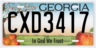 GA license plate CXD3417