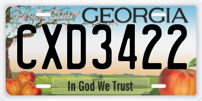 GA license plate CXD3422