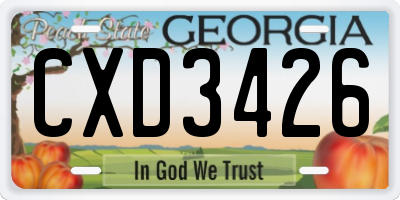GA license plate CXD3426