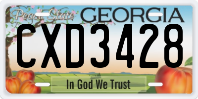 GA license plate CXD3428
