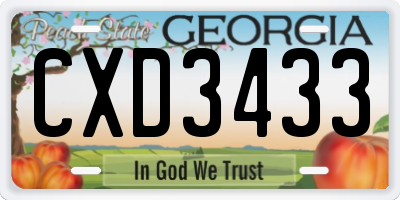 GA license plate CXD3433