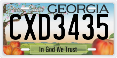 GA license plate CXD3435