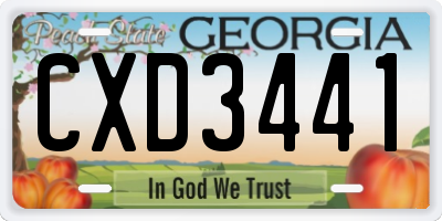 GA license plate CXD3441