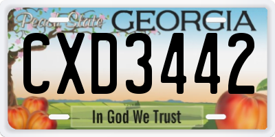GA license plate CXD3442